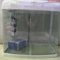 اکواریوم ماهی