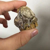 سنگ تزئینی|کلکسیون اشیاء عتیقه|لنگرود, |دیوار