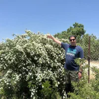 ۲۲۳متر زمین مسکونی ۲بَر فاز یک صدرا با ضابطه M4