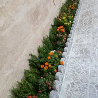 خدمات باغبانی باغچه کاری گلکاری تعویض خاک گلدون گل|خدمات باغبانی و درختکاری|تهران, صادقیه|دیوار