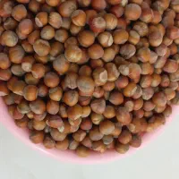 فندوق اشکورات|خوردنی و آشامیدنی|قم, تولید دارو و یخچال|دیوار