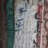 فرش رنگ زمینه زرشکی|فرش|کرمانشاه, |دیوار