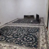 دو عدد فرش ۱۲ متری سالم نو