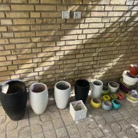 تعدادی گلدان