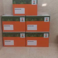 خرید و فروش بذر چغندر قند به صورت عمده و خرده