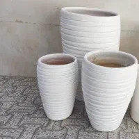 گیاه و گلدان|گل و گیاه طبیعی|اهواز, کوروش|دیوار