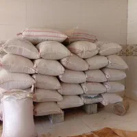 گندم کوهدشت|عمده‌فروشی|سرپل ذهاب, |دیوار