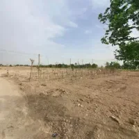 زمین-680-متری-کشاورزی-یا-باغ-سند-شخصی