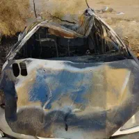 ۲۰۶ تصادفی مدل ۹۶|خودرو سواری و وانت|سیرجان, |دیوار