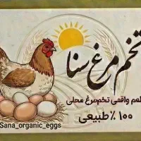 فروش ویژه تخم مرغ محلی
