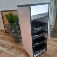 ترولی آرایشگاهی