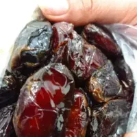 خرمای کبکاب|عمده‌فروشی|بوشهر, |دیوار