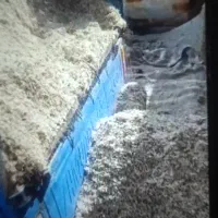 چقندر|عمدهفروشی|باخزر, |دیوار