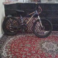 دوچرخه ویوا ۲۴