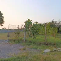 فروش باغ با کلبه