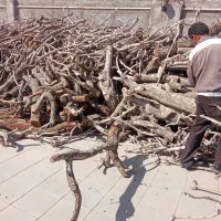 خرید جوب پسته ومیوه