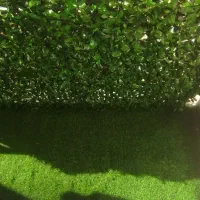 چمن مصنوعی|گل مصنوعی|ری, بی‌بی شهر بانو|دیوار