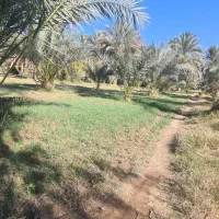 فروش اب کشاورزی|فروش دفتر صنعتی، کشاورزی، تجاری|سیب و سوران, |دیوار