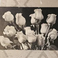 تابلو سه تکه. قاب سه تکه|تابلو، نقاشی، عکس|شیراز, میانرود|دیوار