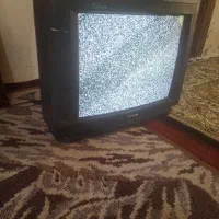 تلویزیون 21اینچ sanam|تلویزیون و پروژکتور|بوشهر, |دیوار