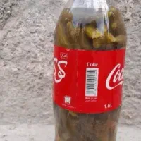 خیارشور|خوردنی و آشامیدنی|شیروان (خراسان), |دیوار