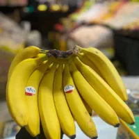 کارگر ساده یا کارگر ماهر جهت کار در میوه فروشی