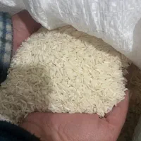 برنج هاشمی مناسب|خوردنی و آشامیدنی|رشت, یخسازی|دیوار