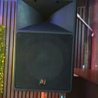 باند اکتیو ۱۵اینچ