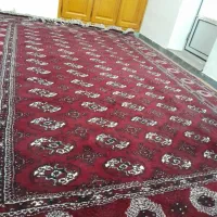 فرش ۱۲ متری دستبافت اصیل ترکمن