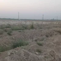 زمین باغ|فروش زمین و ملک کلنگی|رباط‌کریم, ده‌حسن|دیوار
