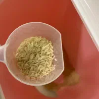 برنج گارمنت