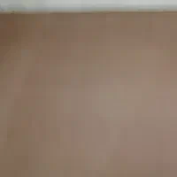 موکت سالم 15 متری|موکت|رشت, فلسطین|دیوار