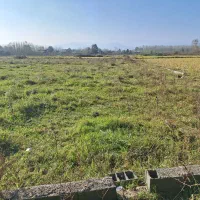 فروش زمین ۲۵۰ متری در ماسال|فروش زمین و ملک کلنگی|طاهرگوراب, |دیوار