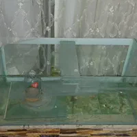 اکواریوم ۱ متری