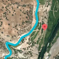 زمین برنج کاری