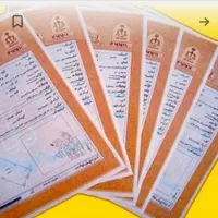 ضامن