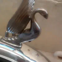 یک عدد قو|قطعات یدکی و لوازم جانبی|سیمین شهر, |دیوار