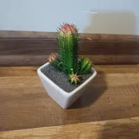 گل مصنوعی|گل مصنوعی|تبریز, |دیوار