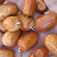 سنجد و هسته سنجد|خوردنی و آشامیدنی|گوگان, |دیوار