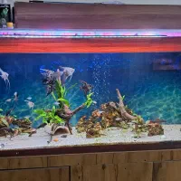 ال ای دی مخصوص پلنت سوبو مدلn96p|ماهی|شیراز, دوکوهک|دیوار