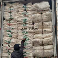 کارخانه پوشال کولر ابی کارخانه در تهران