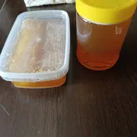 عسل گشنیز بهاره