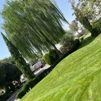 باغبانی شخم زدن هرس کردن پیوندزدن کارهای فضای سبز