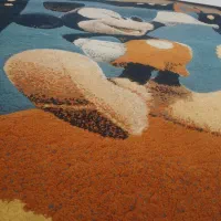 فرش برای اتاق خواب کودک|فرش|سمنان, |دیوار