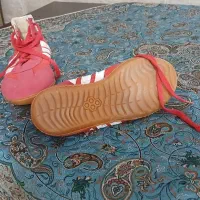 کفش کشتی ادیداس