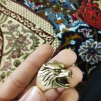 انگشتر رنگ ثابت گرگ|بدلیجات|سنقر, |دیوار