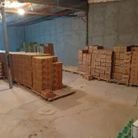 ویزیتور یا بازاریاب