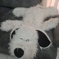 عروسک و خرس