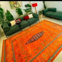 همخونه خانم