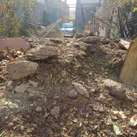 کود اسبی مادیون